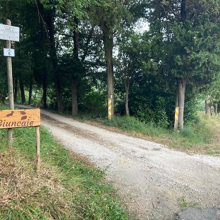 Le Giuncaie - Vigna Con Alloggio Montescudaio Luaran gambar