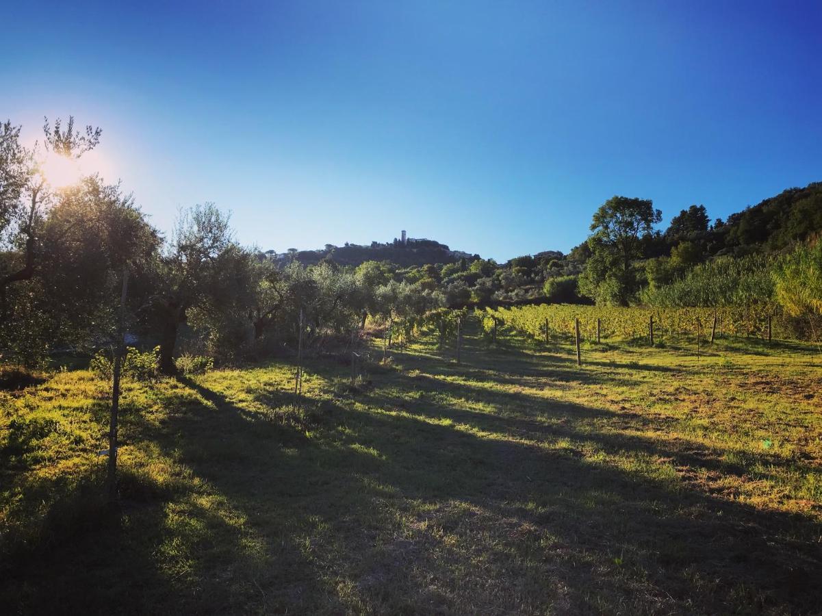Le Giuncaie - Vigna Con Alloggio Montescudaio Luaran gambar