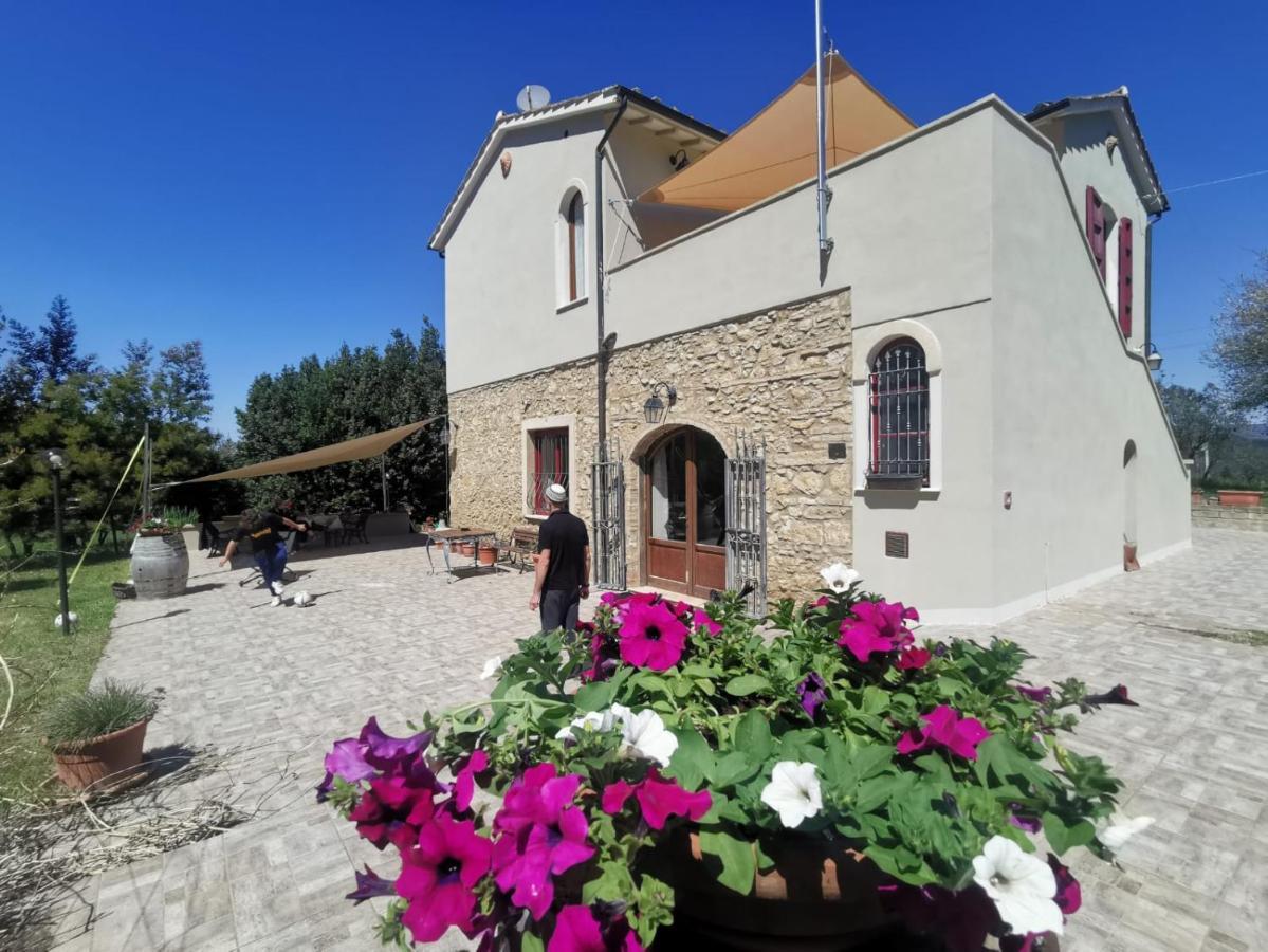 Le Giuncaie - Vigna Con Alloggio Montescudaio Luaran gambar