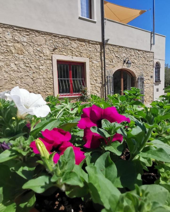 Le Giuncaie - Vigna Con Alloggio Montescudaio Luaran gambar