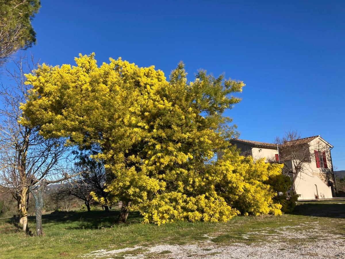 Le Giuncaie - Vigna Con Alloggio Montescudaio Luaran gambar