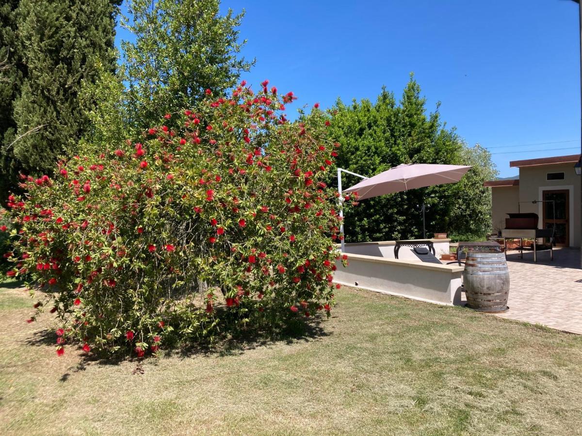 Le Giuncaie - Vigna Con Alloggio Montescudaio Luaran gambar