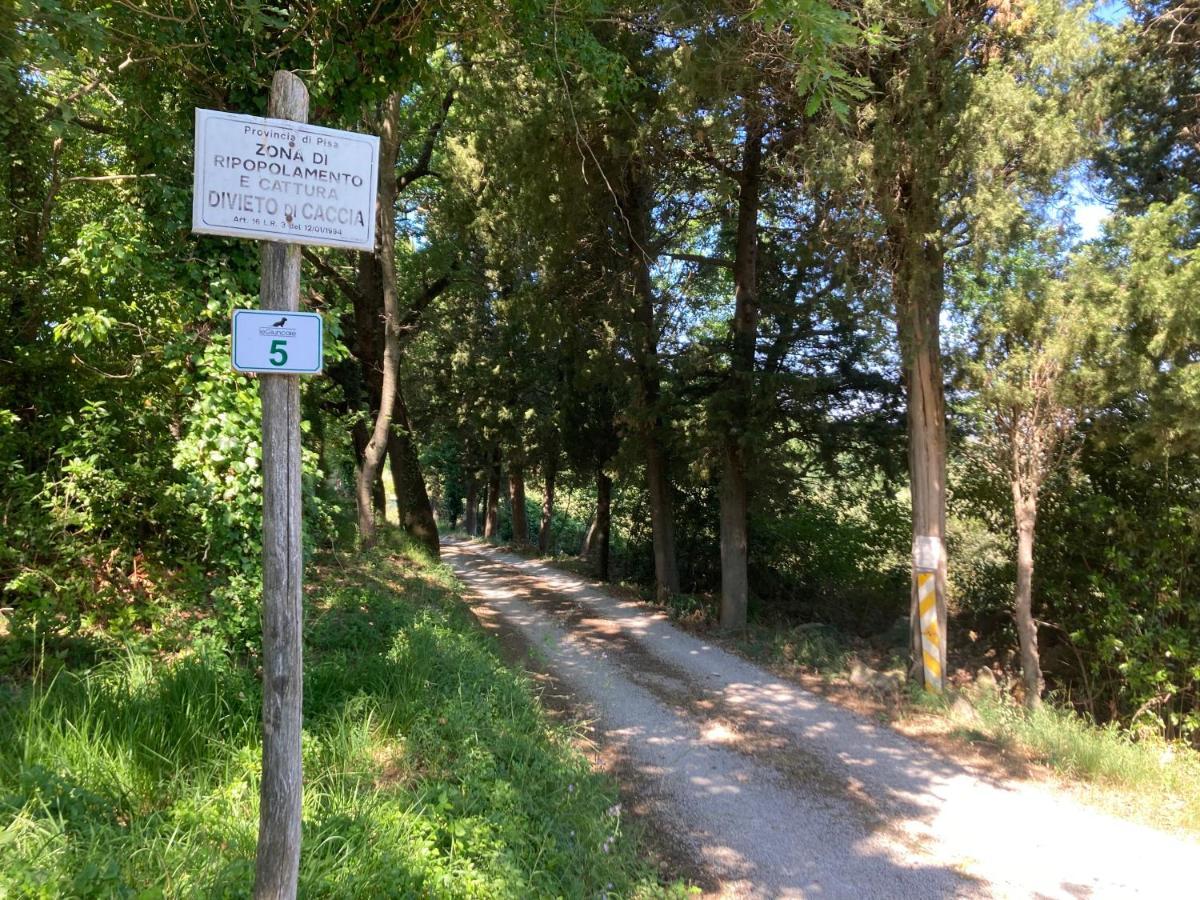 Le Giuncaie - Vigna Con Alloggio Montescudaio Luaran gambar