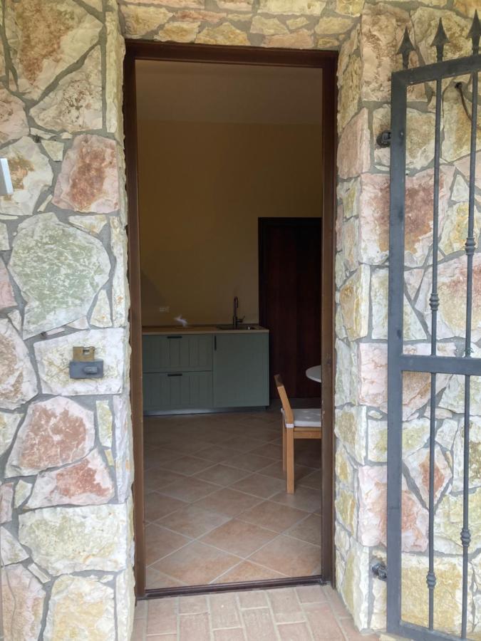 Le Giuncaie - Vigna Con Alloggio Montescudaio Luaran gambar