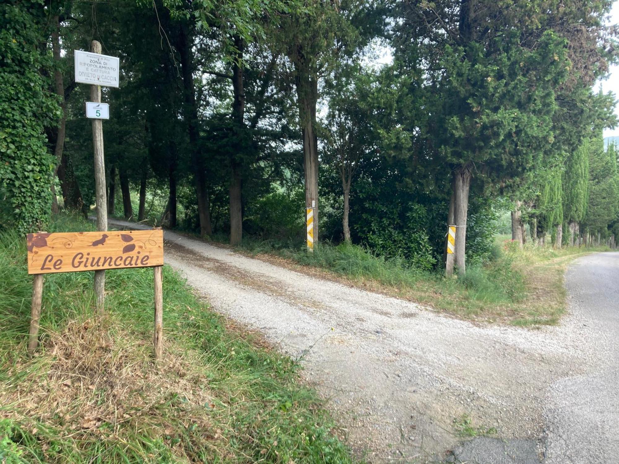 Le Giuncaie - Vigna Con Alloggio Montescudaio Luaran gambar